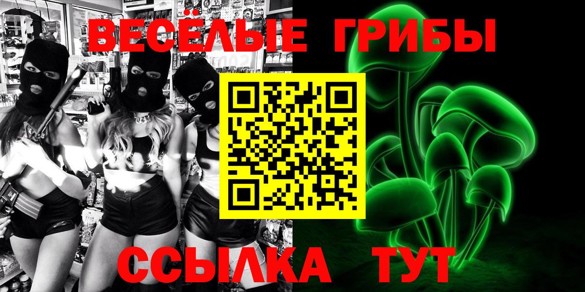 Псилоцибиновые грибы Magic Shrooms Чернушка
