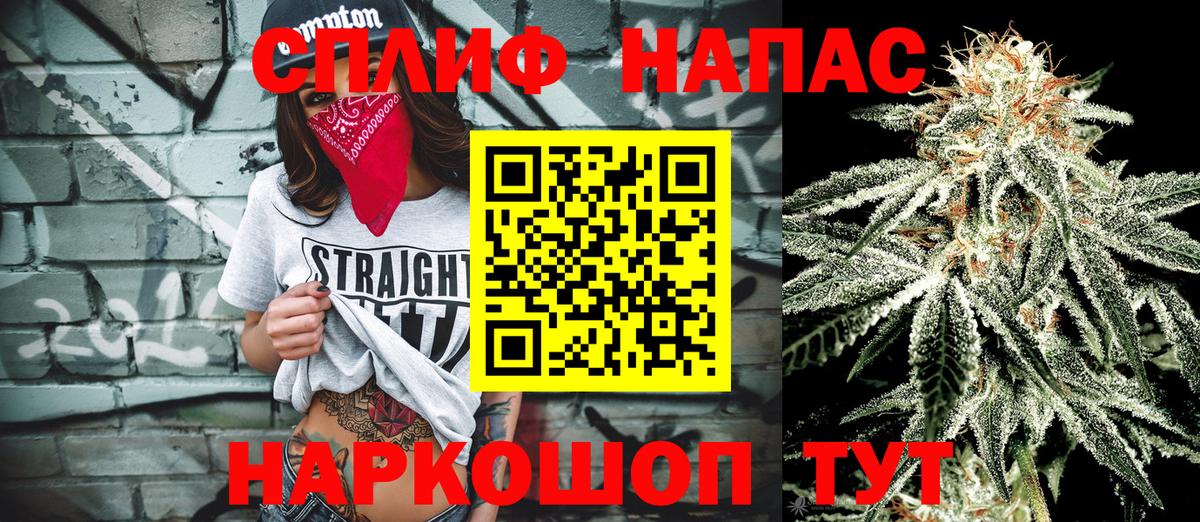 Конопля конопля Чернушка